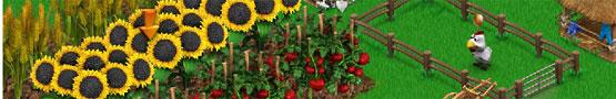 Big Farm vs Farmandia Big Farm vs Farmandia