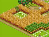 Country Story: Growing Crops Country Story: Growing Crops