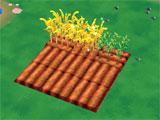 Wheat and Corn in Barn Story Barn Story Wheat and Corn