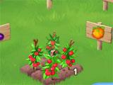 Tomato Patch in Clicker Farm Clicker Farm Tomato Patch