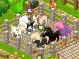 A variety of horses in Horse Park Tycoon A variety of horses in Horse Park Tycoon
