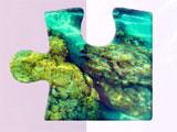 Puzzle Piece in Jigsaw World Cruise Jigsaw World Cruise Puzzle Piece