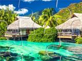 Beach Resort in Jigsaw World Cruise Jigsaw World Cruise Beach Resort