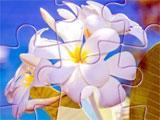 Flower Puzzle in Jigsaw World Cruise Jigsaw World Cruise Flower Puzzle