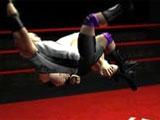 Training in The Wrestling Game The Wrestling Game Training