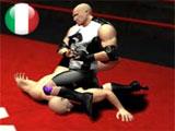 The Wrestling Game Challenges Challenges in The Wrestling Game