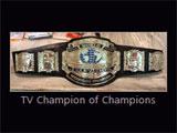 Belts in Masters of the Mat Masters of the Mat Belts