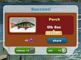 Catch in Fishing Paradise 3D Fishing Paradise 3D Catch