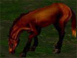 IMVU Fantastic Horses Fantastic Horses in IMVU