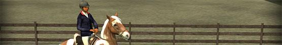 Why Horse Games Are Suitable for Boys Too? Why Horse Games Are Suitable for Boys Too?