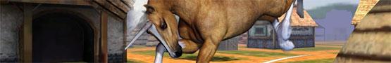 Horse Games: Yay or Neigh preview image Horse Games: Yay or Neigh preview image