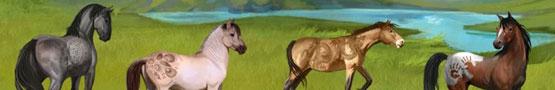 Pferde Spiele Online - Horse Simulation Games Pferde Spiele Online - Horse Simulation Games