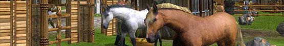 Giochi di Cavalli Online - The Majestic Creatures in Horses Giochi di Cavalli Online - The Majestic Creatures in Horses