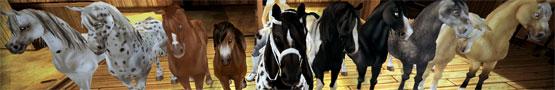 Beautiful Horse Games Beautiful Horse Games