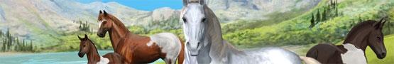 Our Horse Games Community Our Horse Games Community