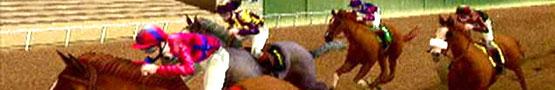 Jocuri online cu cai - Horse Base Breeds 101: Thoroughbreds Jocuri online cu cai - Horse Base Breeds 101: Thoroughbreds