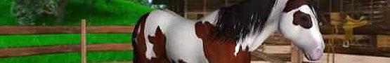 घोडे गेम्स आनलाइन - Horse Base Breeds 101: Paint Horse घोडे गेम्स आनलाइन - Horse Base Breeds 101: Paint Horse