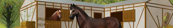 Three Horse Breeds Recommended for Beginners Three Horse Breeds Recommended for Beginners