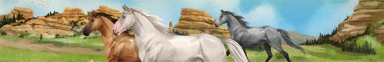 Pferde Spiele Online - What Makes Howrse a Success Pferde Spiele Online - What Makes Howrse a Success