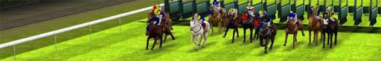 How Often Should You Train Your Horse? How Often Should You Train Your Horse?