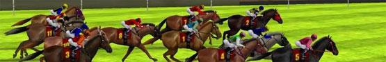 Pferde Spiele Online - Is There An Ideal Weight for Training Horses Pferde Spiele Online - Is There An Ideal Weight for Training Horses