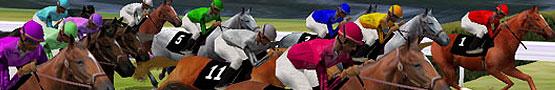 Koňské online hry - Statistics in Horse Games Koňské online hry - Statistics in Horse Games