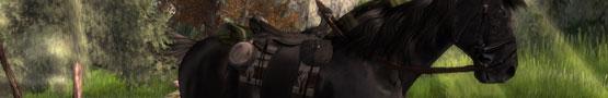 What We Look Forward in Horse Games What We Look Forward in Horse Games