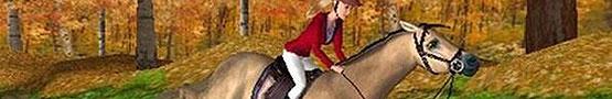 Παιχνίδια με Άλογα στο Διαδίκτυο - Popular Horse Competition Breeds Παιχνίδια με Άλογα στο Διαδίκτυο - Popular Horse Competition Breeds