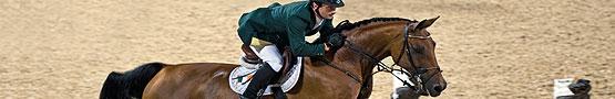 Jeux de chevaux en ligne - Figure Horses: The Hanoverian Breed Jeux de chevaux en ligne - Figure Horses: The Hanoverian Breed