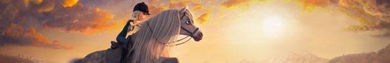 Jocuri online cu cai - What Makes Star Stable a Success? Jocuri online cu cai - What Makes Star Stable a Success?