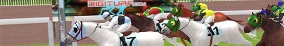 Tips to Turn Your Horse Into a Champion Tips to Turn Your Horse Into a Champion