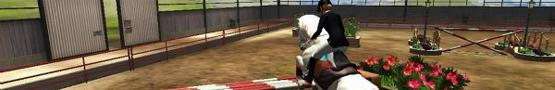 Juegos de Caballos en Línea - Factors Affecting a Race Horse’s Performance Juegos de Caballos en Línea - Factors Affecting a Race Horse’s Performance