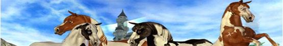 Horse Quest Games Horse Quest Games