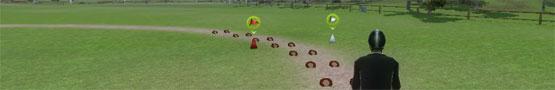 What Makes Ride: Equestrian Simulation Enjoyable? What Makes Ride: Equestrian Simulation Enjoyable?