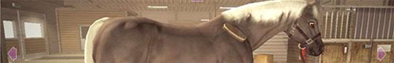 Jocuri online cu cai - Best Horse Riding Games Jocuri online cu cai - Best Horse Riding Games