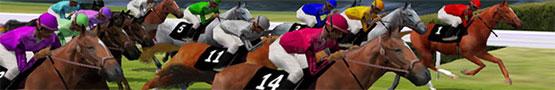 Lovas játékok online - Types of Horse Races Lovas játékok online - Types of Horse Races