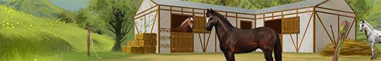 घोडे गेम्स आनलाइन - How to Find a Great Name for Your Horse घोडे गेम्स आनलाइन - How to Find a Great Name for Your Horse