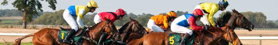 घोडे गेम्स आनलाइन - Various Types of Racing Tracks घोडे गेम्स आनलाइन - Various Types of Racing Tracks