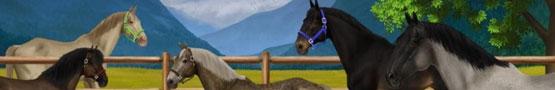 Why is Horse World Online Fun to Play Why is Horse World Online Fun to Play