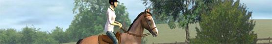 Best Horse Games on Android Best Horse Games on Android