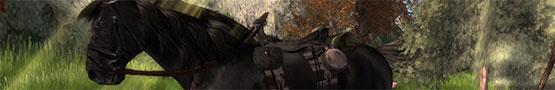 Online Paarden games - Virtual World Games With Horses Online Paarden games - Virtual World Games With Horses