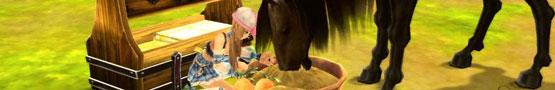 Horses and Treats Horses and Treats