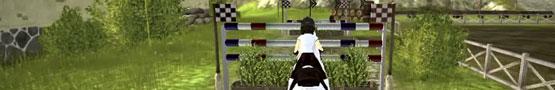 Tips for Winning Races in Star Stable Tips for Winning Races in Star Stable