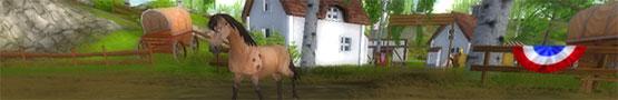 What We Want in Star Stable What We Want in Star Stable