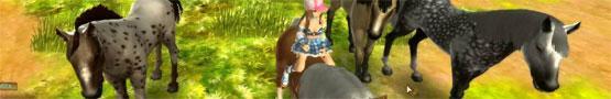 Why We Need More MMO Horse Games Why We Need More MMO Horse Games