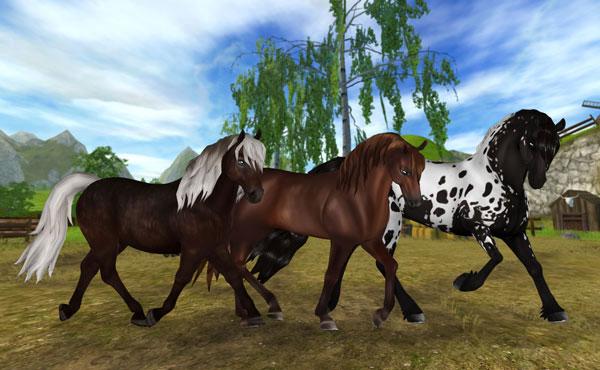 New variations for the Icelandic, Morgan and Sport Friesian New variations for the Icelandic, Morgan and Sport Friesian