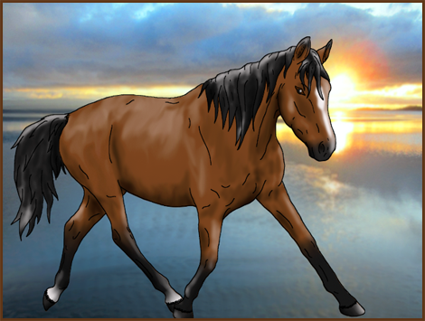 Try My Stable Try My Stable
