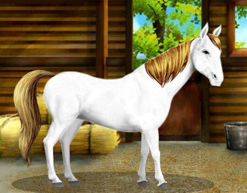 Try Horse Land Try Horse Land