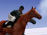 Horse Racing Horse Racing