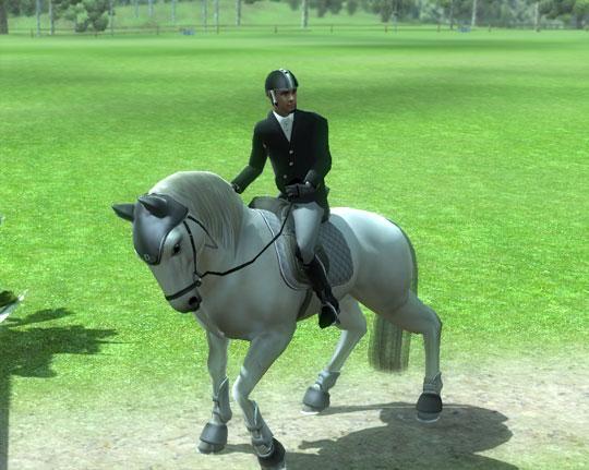 Display of Magnificence in Ride: Equestrian Simulation Display of Magnificence in Ride: Equestrian Simulation